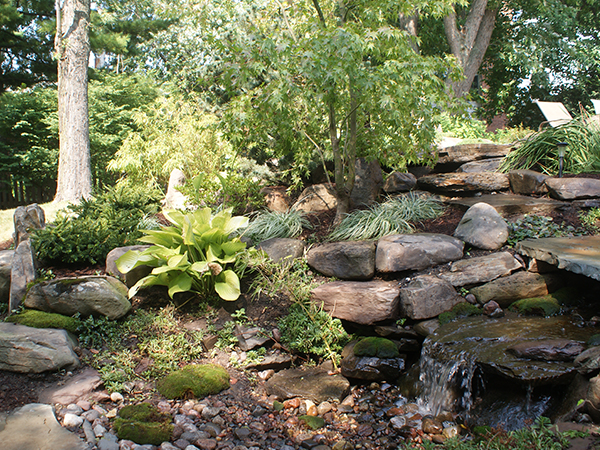 Relax in the comfort of your backyard with soothing water features, including Ponds, Waterfalls, Fountains, Streams, Reflecting Pools, and Water Gardens