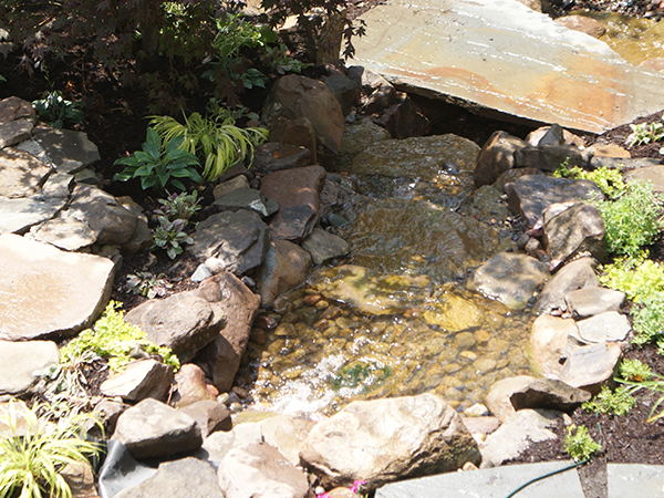 Relax in the comfort of your backyard with soothing water features, including Ponds, Waterfalls, Fountains, Streams, Reflecting Pools, and Water Gardens